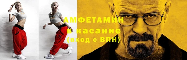 индика Новозыбков