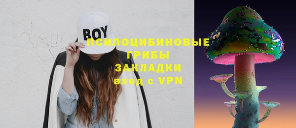 бошки Няндома