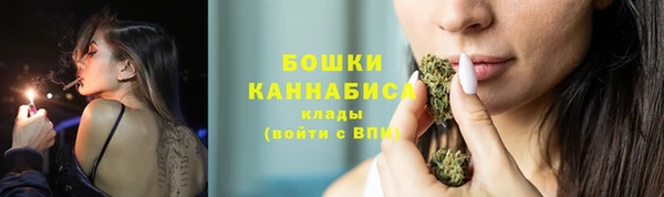 бошки Няндома