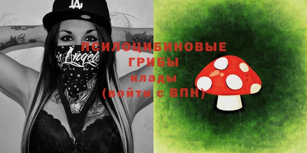 бошки Няндома