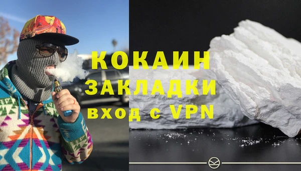 бошки Няндома