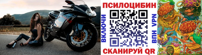 маркетплейс как зайти  Куса  Псилоцибиновые грибы мухоморы  сколько стоит 