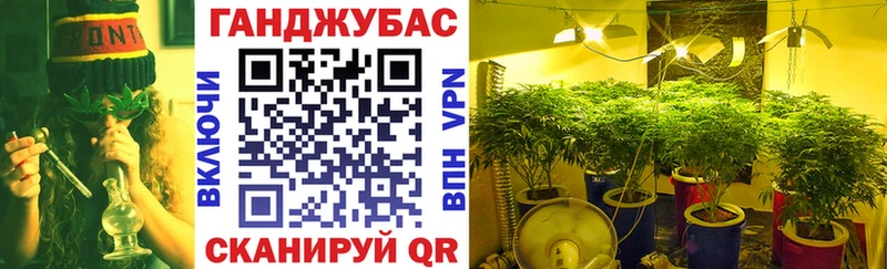 Марихуана планчик  мега вход  Куса 